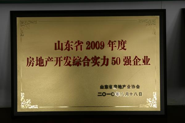 2009年山東省房地產開發綜合實力50強企業