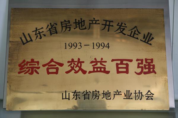 1993-1994年山東省房地產開發企業綜合效益百強