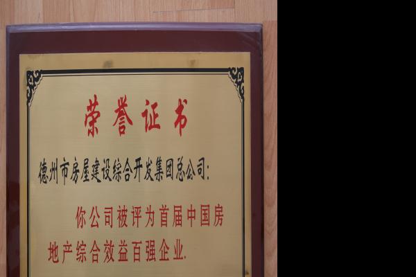 1994年首屆中國房地產綜合效益百強企業